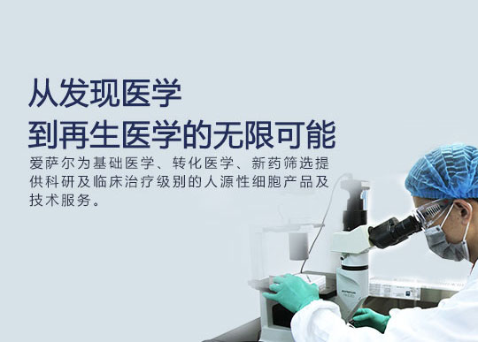 品(pin)牌網站建(jian)設(shè)