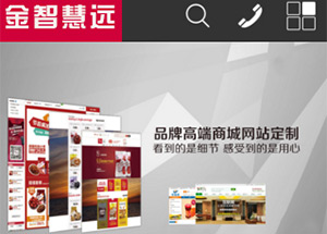 手機(jī)網站建(jian)設(shè)