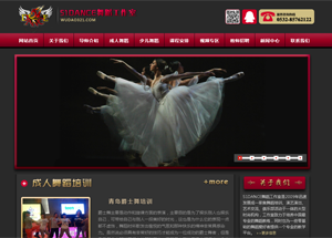 網站優(you)化推廣(guang)