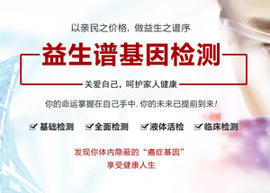 品(pin)牌網站建(jian)設(shè)