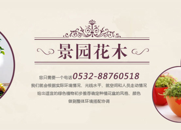 景園花(huā)木(mù)租賃小(xiǎo)程(cheng)序