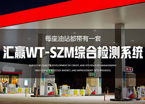 品(pin)牌網站建(jian)設(shè)