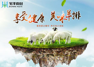 手機(jī)網站建(jian)設(shè)