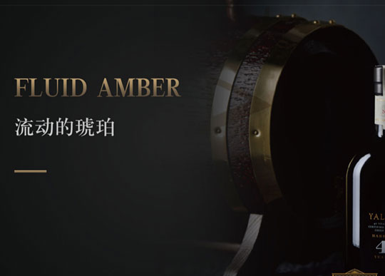 雅達若網站建(jian)設(shè)