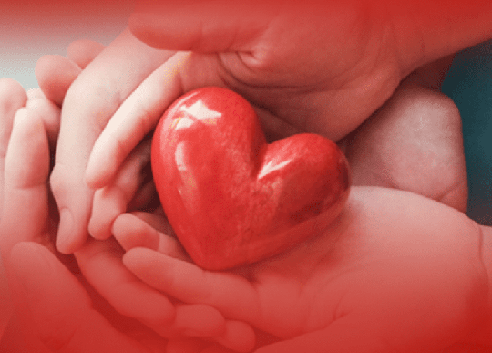 手機(jī)網站建(jian)設(shè)